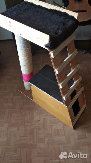 Кошка в дар