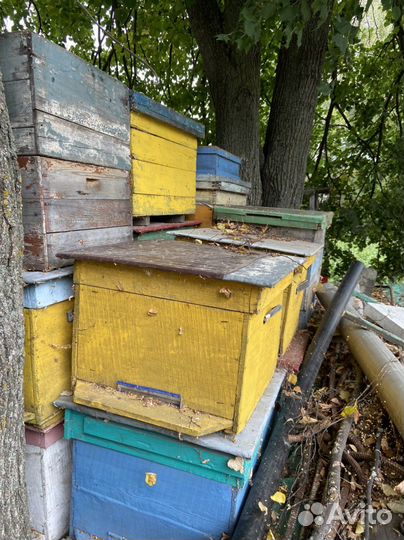 Ульи для пчел бу