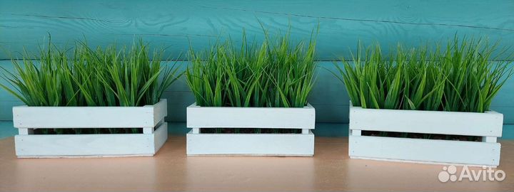 Искусственные растения