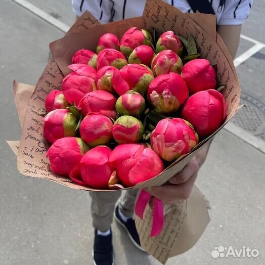 Пион коралловый / пионы букет 25 51 с доставкой