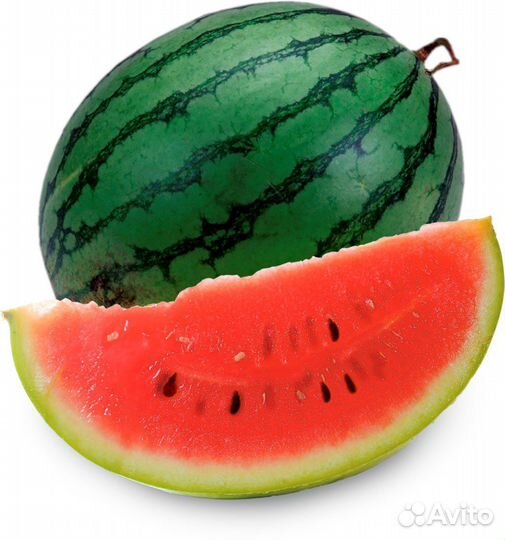 Тракторист механизатор