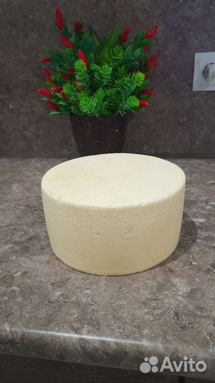 Сыр твердый