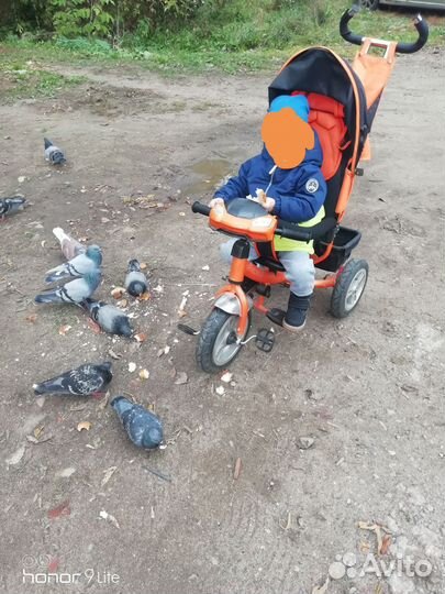 Трехколесный велосипед для детей