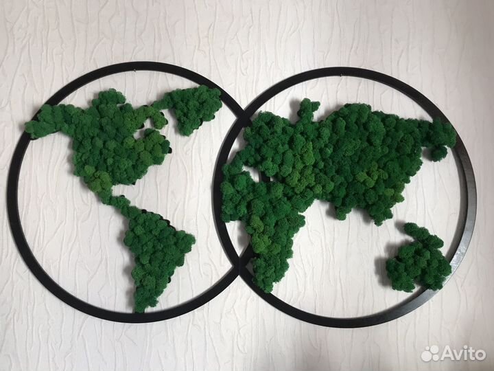 Стабилизированный мох