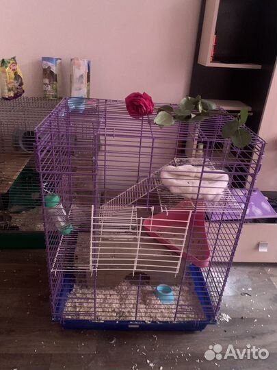 Клетка для грызунов большая