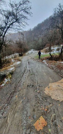 Участок 8 сот. (ИЖС)