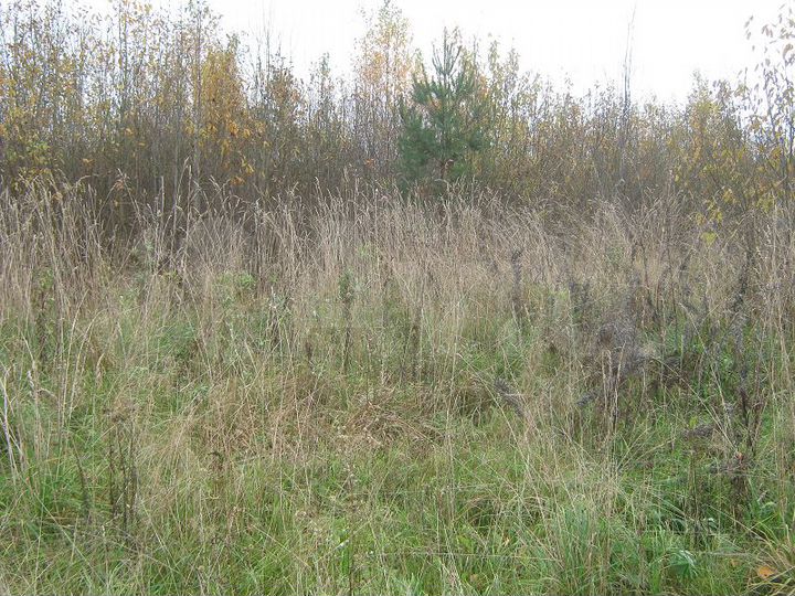 Участок 10 сот. (ИЖС)