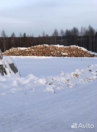Уголь березовый