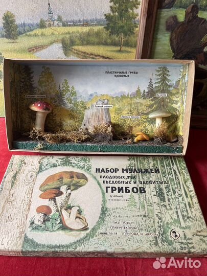 Учебный набор СССР