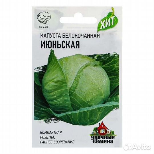 Рассада земклуники, капусты