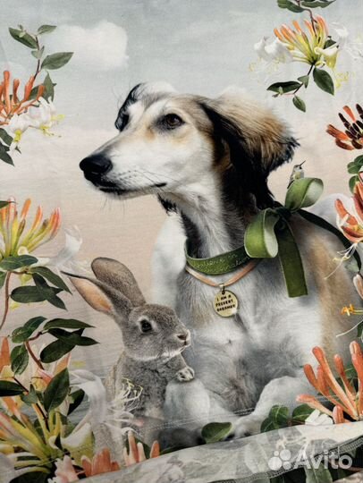 Лонгслив Molo 128