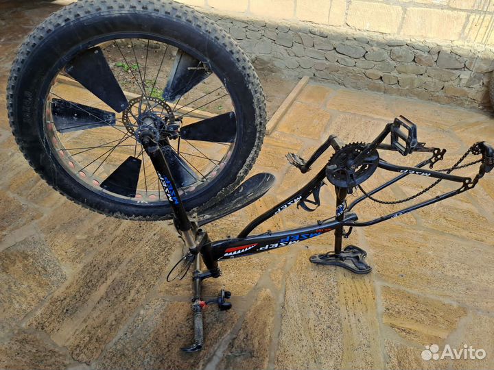 Федбайк Акула