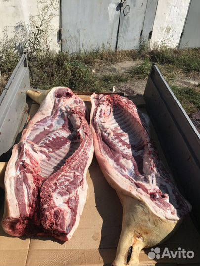 Деревенская свинина, мясо свиньи, молочные поросят