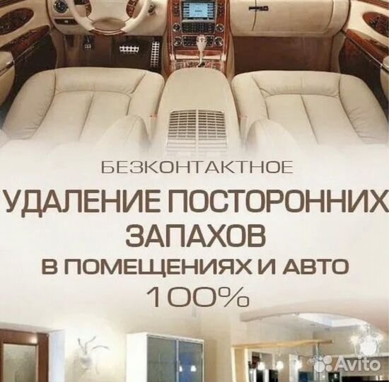 Устранение запаха в авто и дома