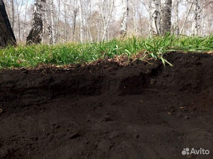 Чернозем с доставкой в день звонка