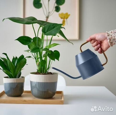 Vattenkrasse IKEA лейка