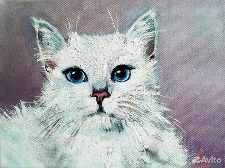 Белый кот, картина маслом на холсте, портрет кота