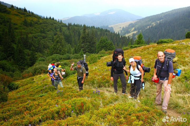 Организация тура, экскурсии, похода, сплава. Гид