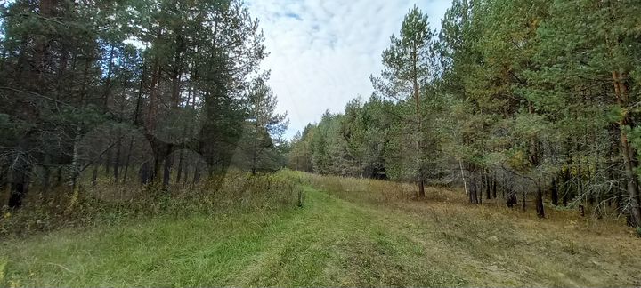 Участок 2 га (СНТ, ДНП)