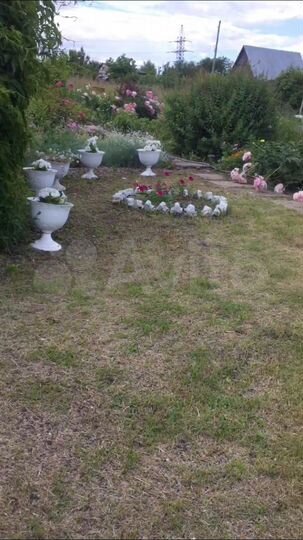 Участок 6 сот. (СНТ, ДНП)