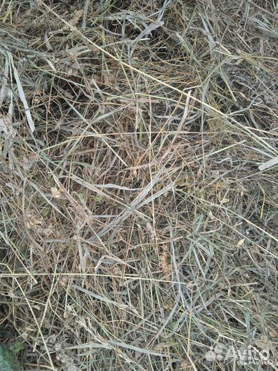 Сено в тюках