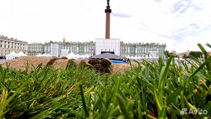 Рулонный газон 