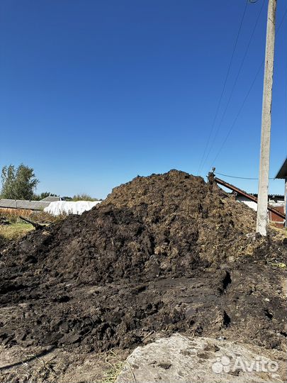 Навоз коровий