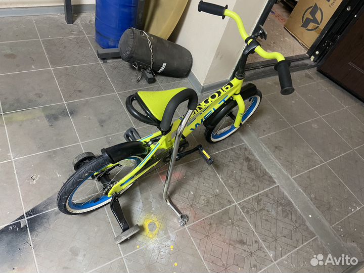 Велосипед детский Welt Dingo 16