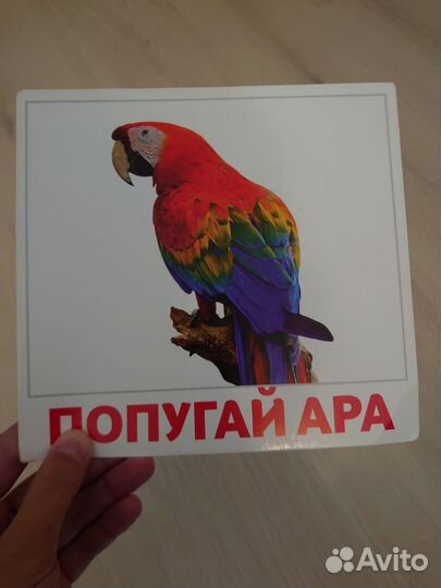 Набор развивающих карточек