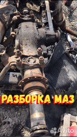 Чулок моста маз овал