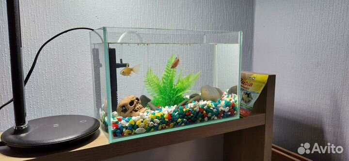 Аквариум 10 литров