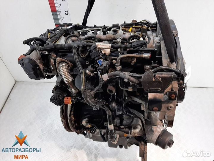 Тнвд Opel Insignia (A) 2009 55597787