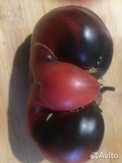 Помидорвкуснятина Семена