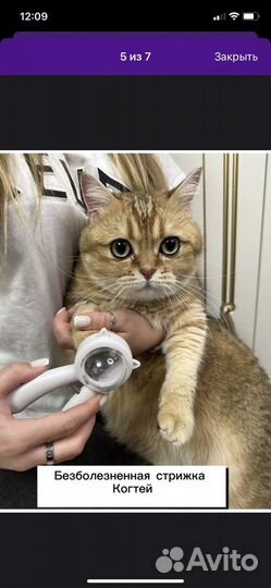 Когтерезка