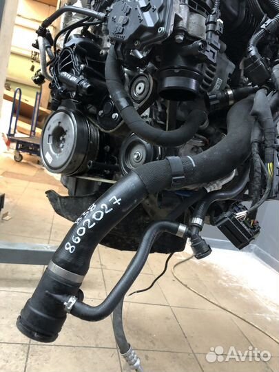 Шланг головки блока цилиндров bmw b38