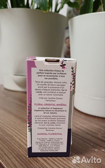 Парфюмерная вода Ив роше SUR LA lande 30 мл1