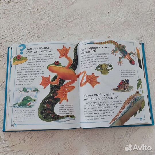 Книжка для детей
