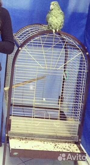 Клетка для попугая