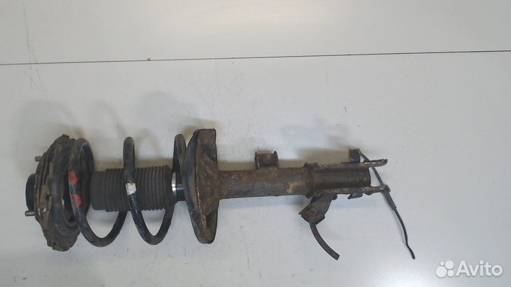 Амортизатор подвески Nissan Murano, 2007