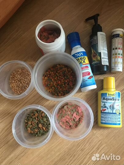 Аквариум 60 л + тумба, рыбки, полностью готовый