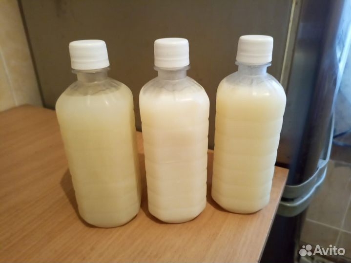 Барсучий жир