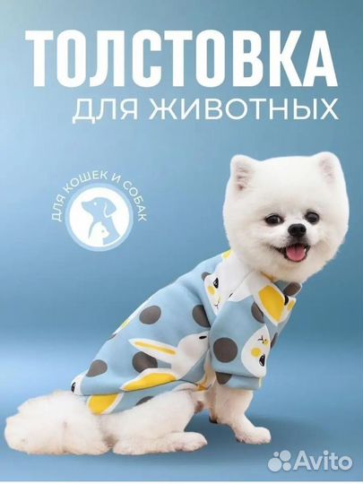 Толстовка для собак и кошек
