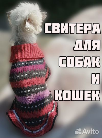 Одежда для собак и кошек