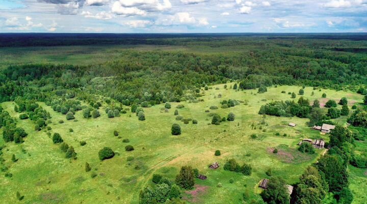 Участок 1,03 га (ИЖС)