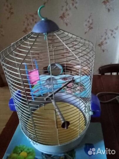 Большая клетка для птиц