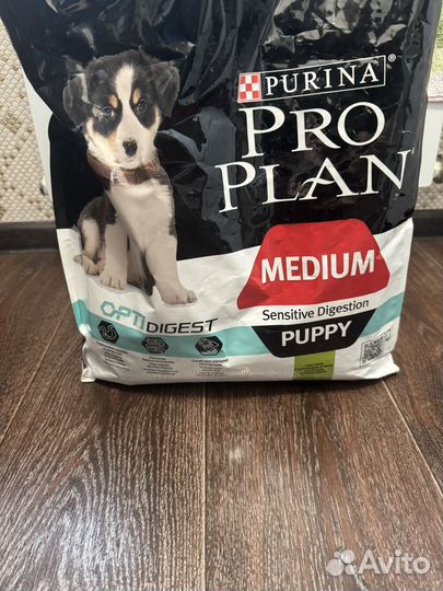 Сухой корм для собак