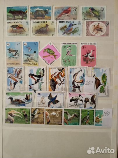 Почтовые марки мира. Птицы, фауна