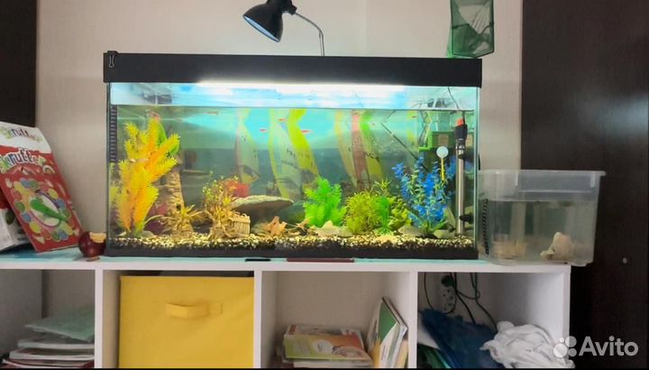 Аквариум