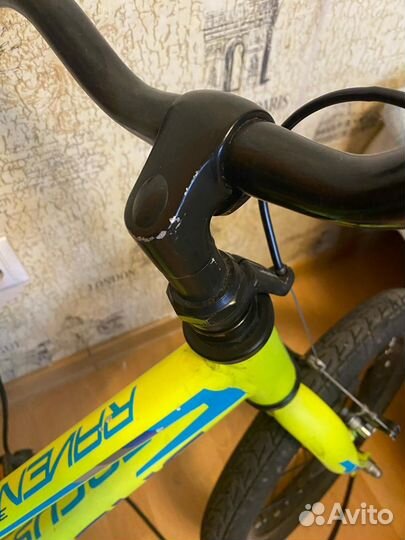 Велосипед детский 16 Focus Raven Rookie