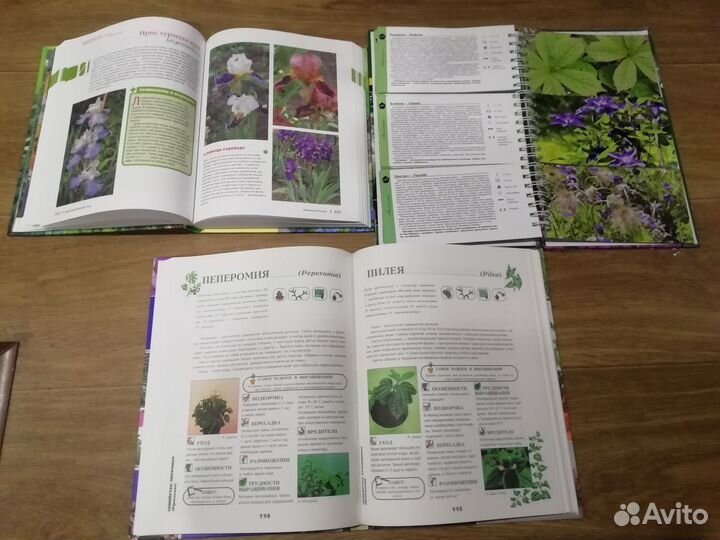 Книги о цветах, о еде, блюдах, здоровье, огороде
